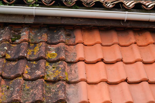 Industrial Roof Cleaning in Rochester